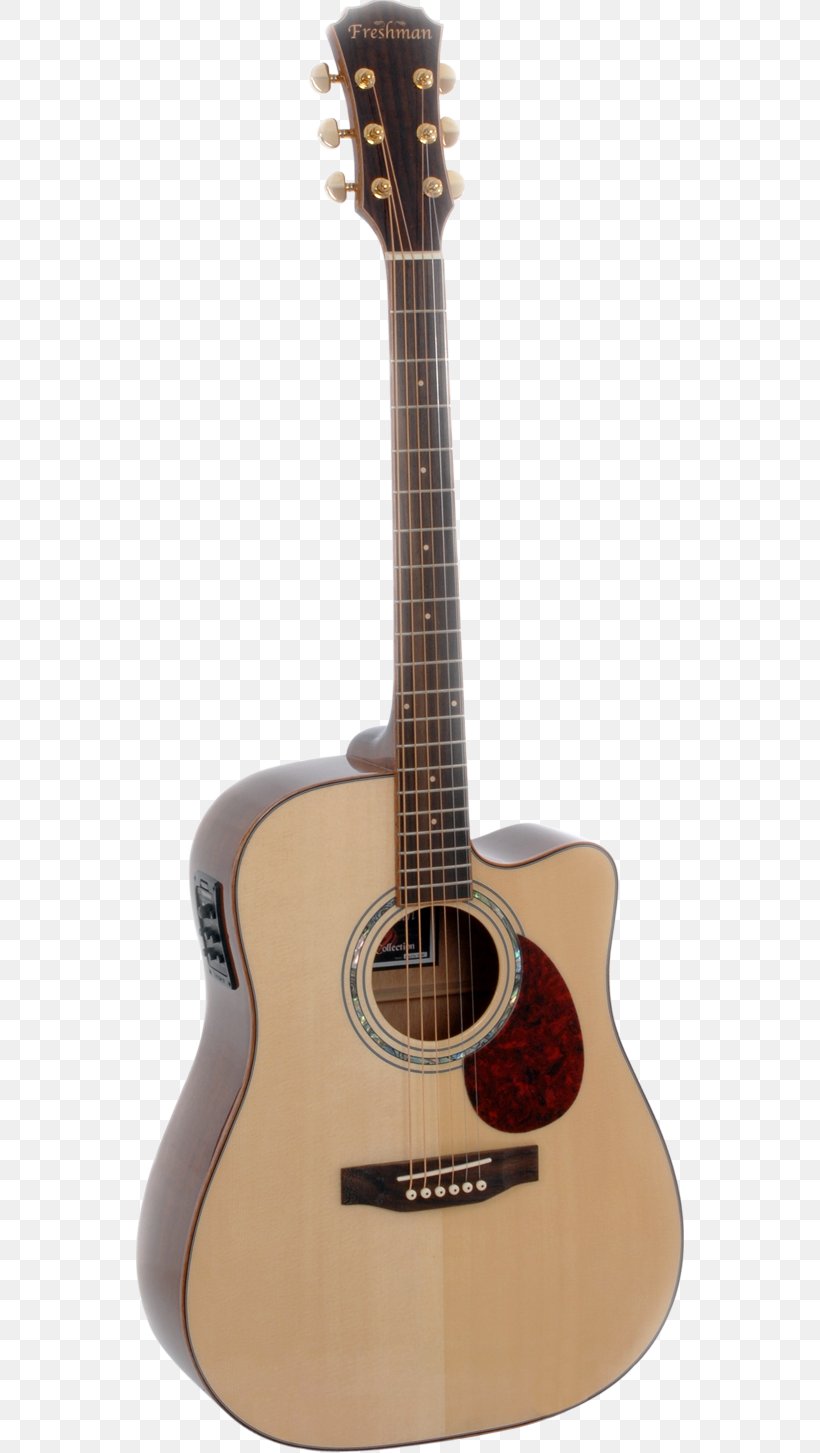 Twelve-string Guitar Steel-string Acoustic Guitar Acoustic-electric Guitar, PNG, 548x1453px, Watercolor, Cartoon, Flower, Frame, Heart Download Free