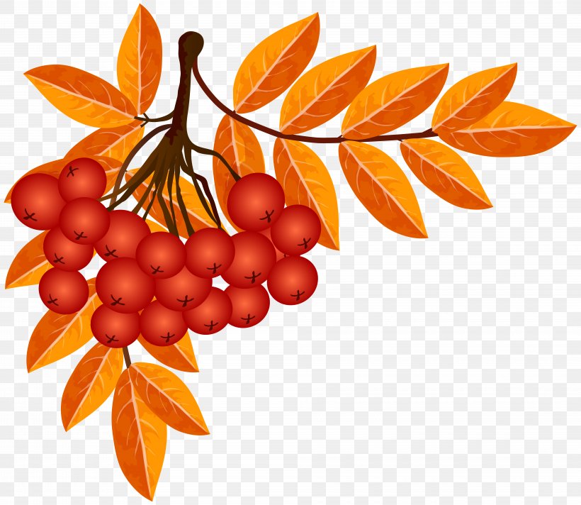 Autumn Season Weather Clip Art, PNG, 8000x6954px, Autumn, Autumn Leaves, Food, Fruit, Hippophae Download Free
