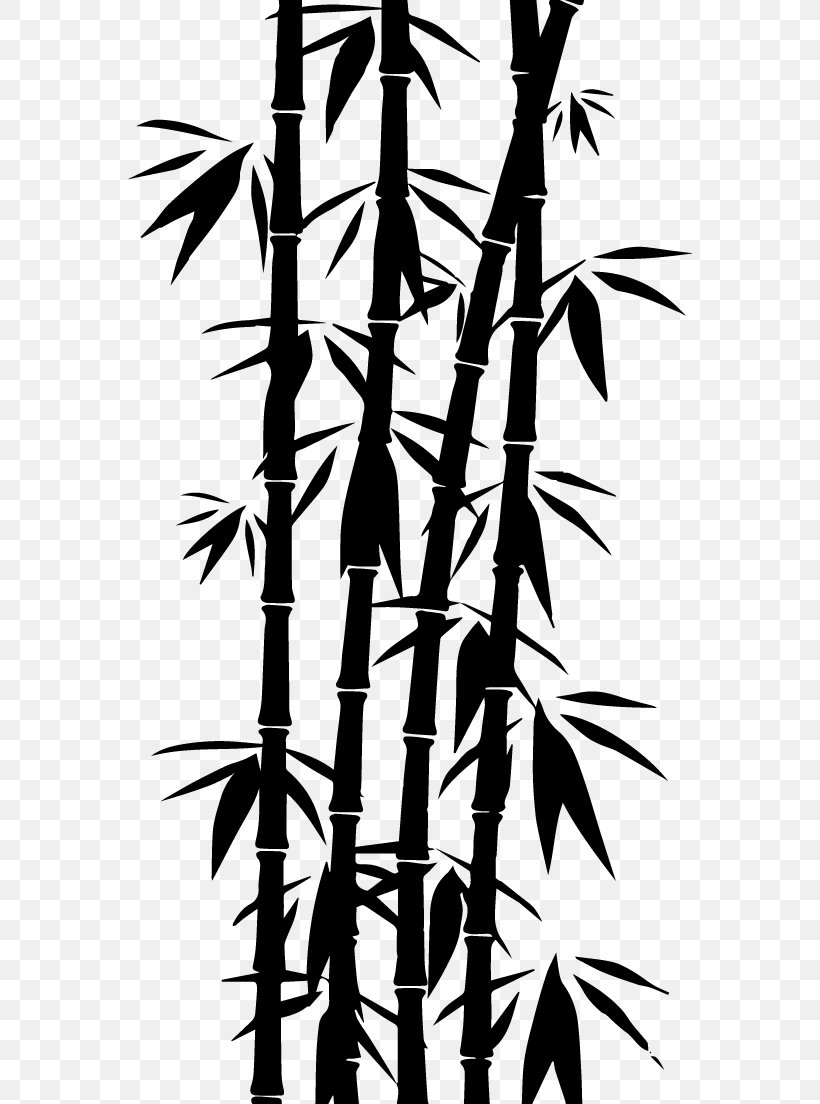 Bamboo Grill & Sushi, PNG, 564x1104px, Bamboo, Black And White, Branch, Dendrocalamus, Flora Download Free