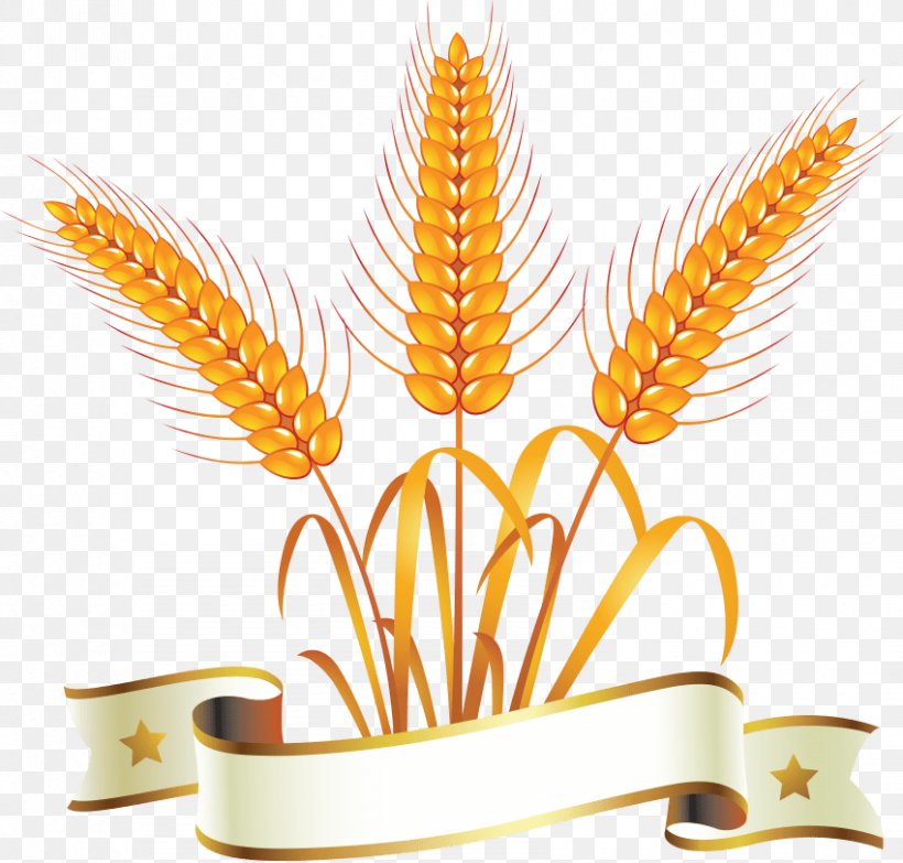 Clip Art Wheat Vector Graphics, PNG, 850x812px, Wheat, Bread, Cereal, Commodity, Ear Download Free