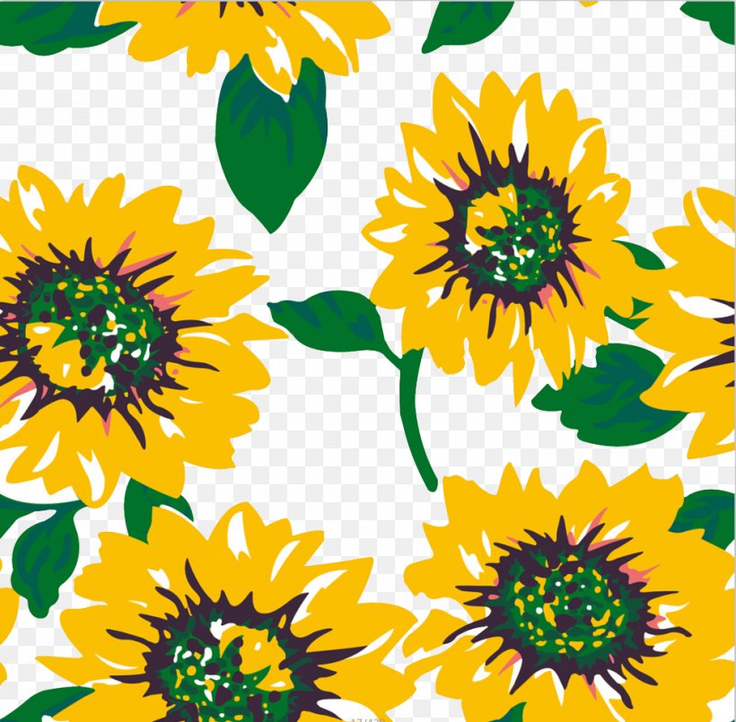 Common Sunflower Sunflower Oil Printing, PNG, 993x976px, Flower, Chrysanths, Common Sunflower, Cut Flowers, Dahlia Download Free