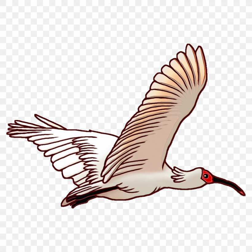 Feather, PNG, 1400x1400px, Watercolor, Beak, Bird Migration, Birds, Birds Wing Download Free