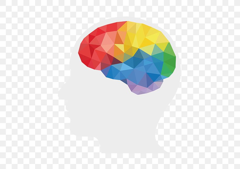 Human Brain Cerebral Hemisphere Lateralization Of Brain Function, PNG, 511x577px, Brain, Art, Brain Mapping, Cerebral Cortex, Cerebral Hemisphere Download Free