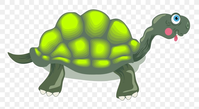 Turtle Tortoise Drawing Clip Art, PNG, 800x449px, Turtle, Animal Figure, Cartoon, Drawing, Fauna Download Free