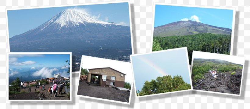 Mount Fuji Tourism Cherry Blossom Shinto Shrine 観光協会, PNG, 960x422px, Mount Fuji, Blossom, Cherry, Cherry Blossom, English Download Free