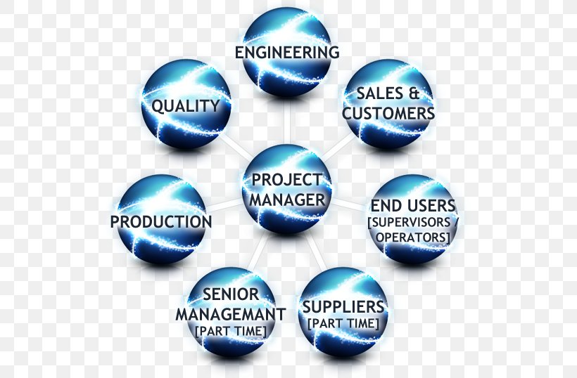 Project Management Project Team Interim Management, PNG, 520x538px, Project Management, Blue, Body Jewellery, Body Jewelry, Brand Download Free