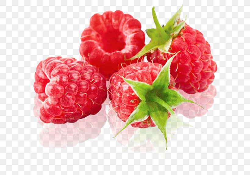 Raspberry Organic Food Fruit Boysenberry, PNG, 606x573px, Raspberry, Balsamic Vinegar, Berry, Blackcurrant, Blueberry Download Free