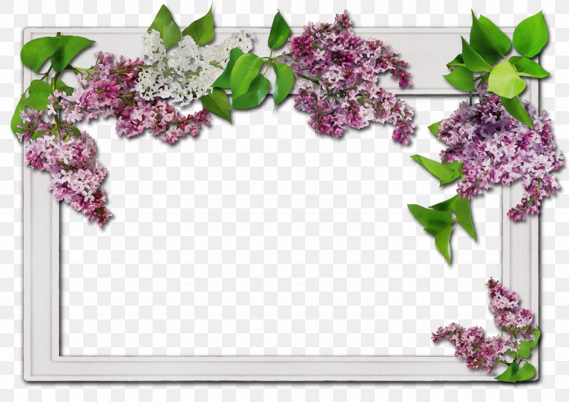 White Photo Frame, PNG, 3510x2480px, Picture Frames, Borders And Frames, Decal, Floral Design, Flower Download Free