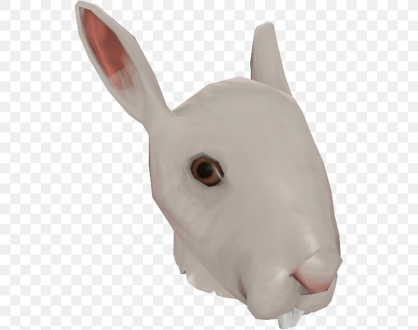 Domestic Rabbit Snout Nose, PNG, 527x648px, Domestic Rabbit, Head, Nose, Rabbit, Rabits And Hares Download Free