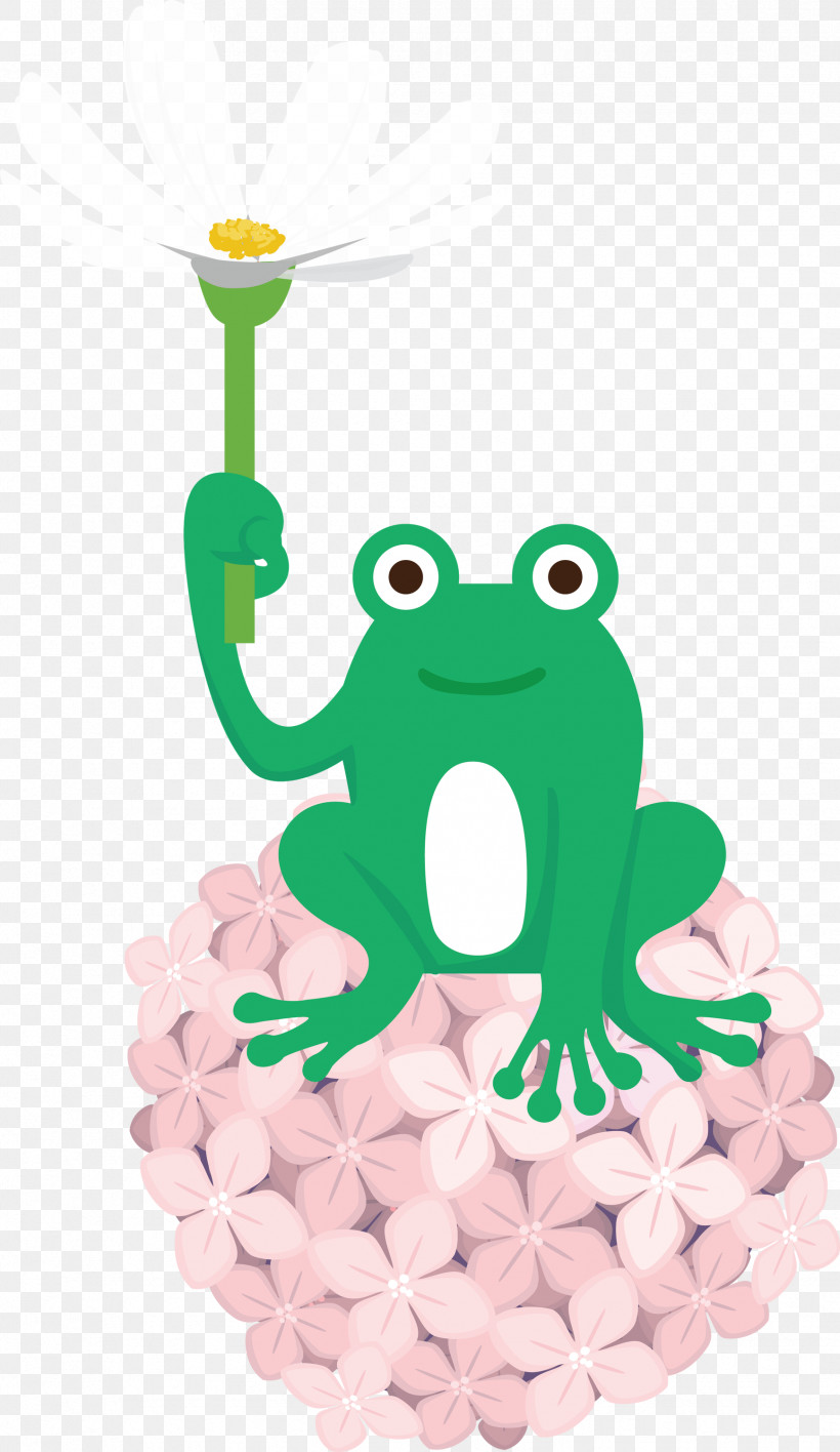 Frogs Cartoon Tree Frog Science Biology, PNG, 1737x3000px, Frog, Biology, Cartoon, Frogs, Science Download Free