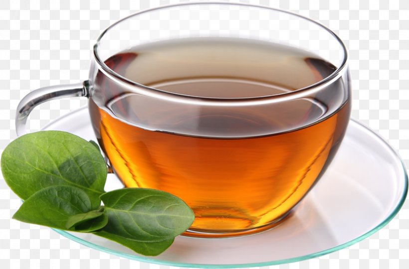 Green Tea Coffee Assam Tea, PNG, 831x548px, Tea, Assam Tea, Black Tea, Camellia Sinensis, Chinese Herb Tea Download Free