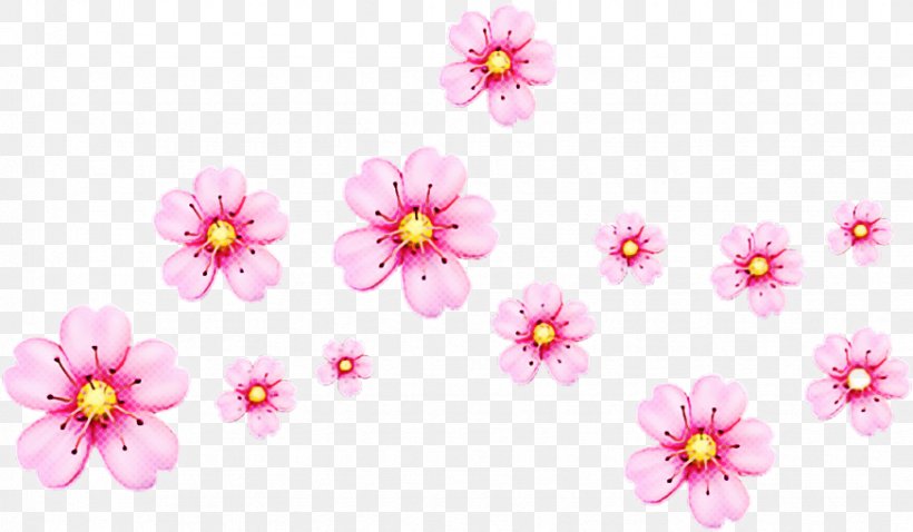 Cherry Blossom Background, PNG, 873x509px, Emoji, Blossom, Cherry Blossom, Floral Design, Flower Download Free
