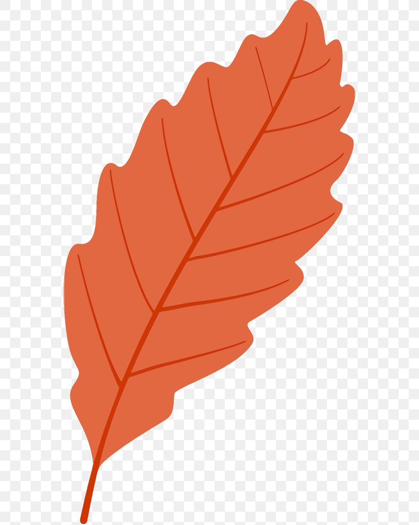 Autumn Leaf Fallen Leaf Dead Leaf, PNG, 572x1026px, Autumn Leaf, Dead Leaf, Deciduous, Fallen Leaf, Flower Download Free