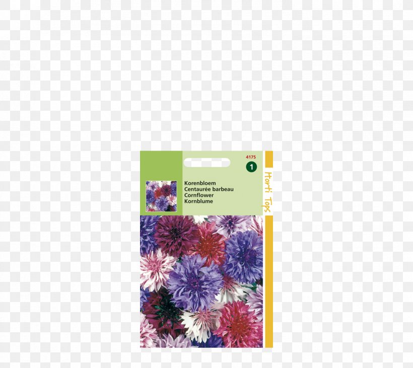 Cornflower Cyanus Polka Dot, PNG, 1466x1308px, Cornflower, Cyanus, Flora, Flower, Knapweeds Download Free