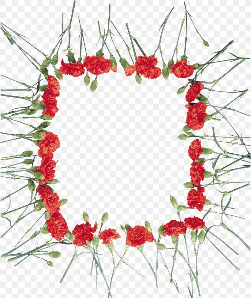 Floral Design Carnation Cut Flowers Photography, PNG, 2653x3153px, Floral Design, Carnation, Christmas Decoration, Cut Flowers, Decor Download Free