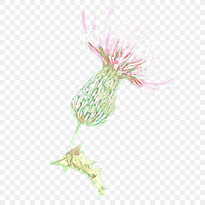 Pink Plant Flower Thistle, PNG, 3000x3000px, Pink, Flower, Plant, Thistle Download Free