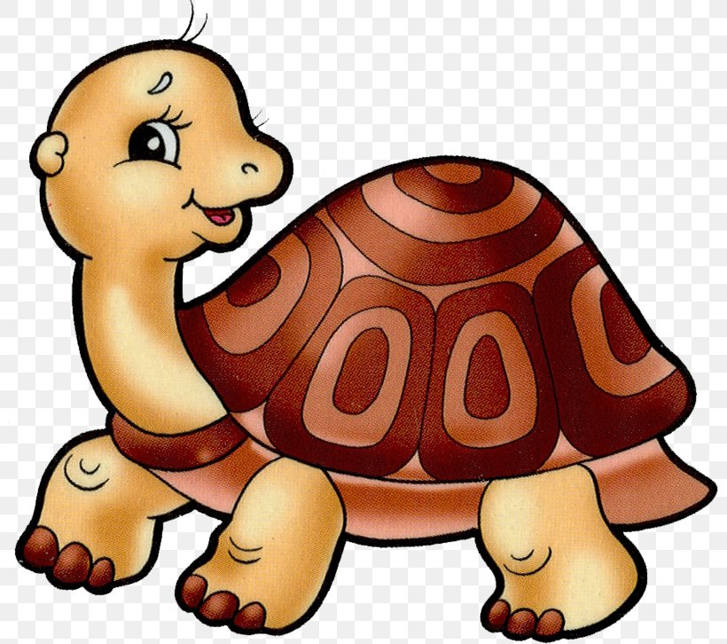 Tortoise And Turtle Paper Clip Art, PNG, 800x726px, Turtle, Animal, Carnivoran, Cartoon, Cat Like Mammal Download Free