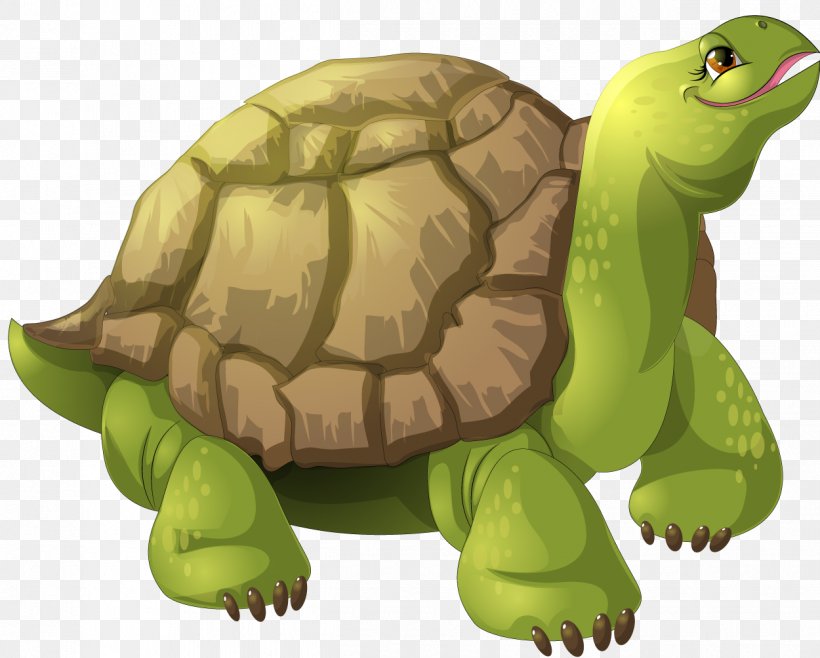 Turtle Animation, PNG, 1250x1004px, Turtle, Animated Cartoon, Animation, Box Turtle, Cartoon Download Free