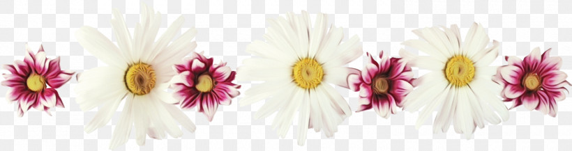 Cut Flowers Flower Pink Plant Petal, PNG, 1500x398px, Flower Border, Cut Flowers, Floral Line, Flower, Flower Background Download Free