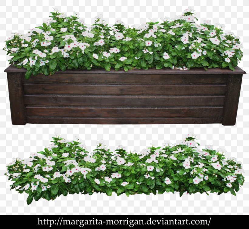 Modern Shrub Rose Flowerpot Plant Tree, PNG, 900x828px, Modern Shrub Rose, Evergreen, Flower, Flowerpot, Garden Download Free