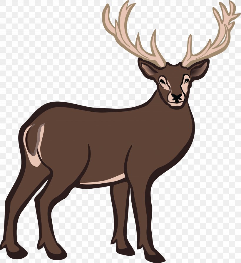 White-tailed Deer Reindeer Clip Art, PNG, 4000x4368px, Deer, Antler, Cattle Like Mammal, Color, Elk Download Free
