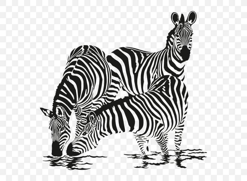 Zebra Family Drawing T-shirt Phonograph Record, PNG, 600x600px, Zebra, Animal Figure, Art, Big Cats, Black And White Download Free