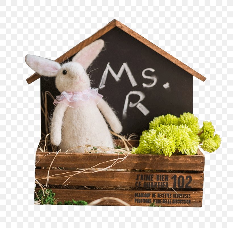 Blackboard House Flower, PNG, 800x800px, Flower, Bed, Child, Rabbit, Rabits And Hares Download Free
