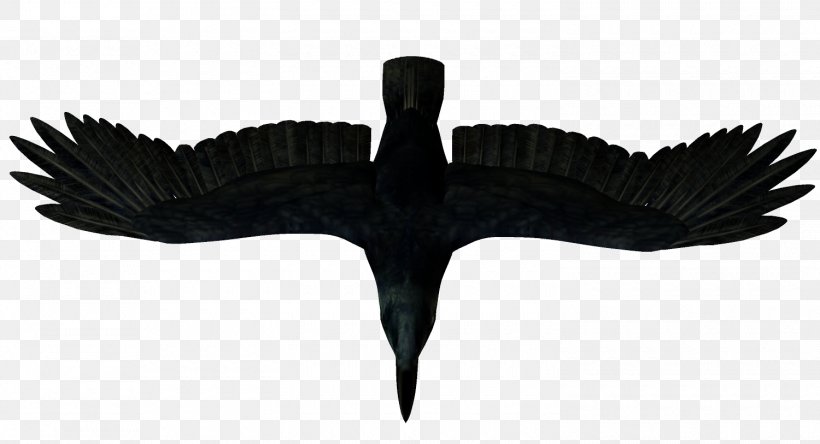 Crows Bird Clip Art, PNG, 1500x813px, Crows, Animal, Beak, Bird, Black And White Download Free