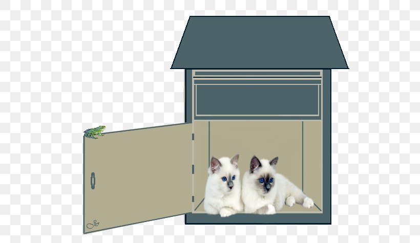 Dog And Cat, PNG, 549x475px, Cat, Cat Furniture, Dog, Dog Houses, Dog Supply Download Free