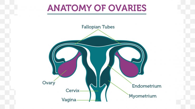 Ovarian Cancer Ovary Fallopian Tube Ovarian Tumor, PNG, 1140x639px, Ovarian Cancer, Audio, Brand, Cancer, Cell Download Free