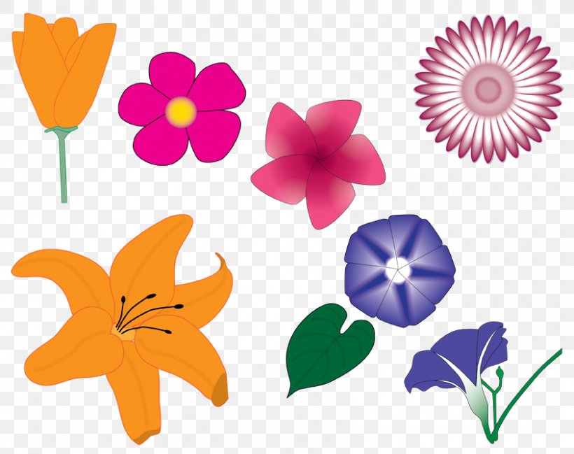 Petal Floral Design Cut Flowers Leaf Clip Art, PNG, 843x668px, Petal, Cut Flowers, Flora, Floral Design, Flower Download Free