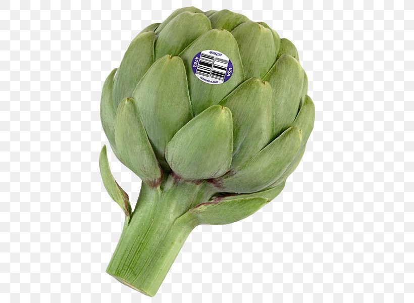 Artichoke Vegetable Food Cynara, PNG, 600x600px, Artichoke, Asparagus, Asset, Cynara, Eating Download Free