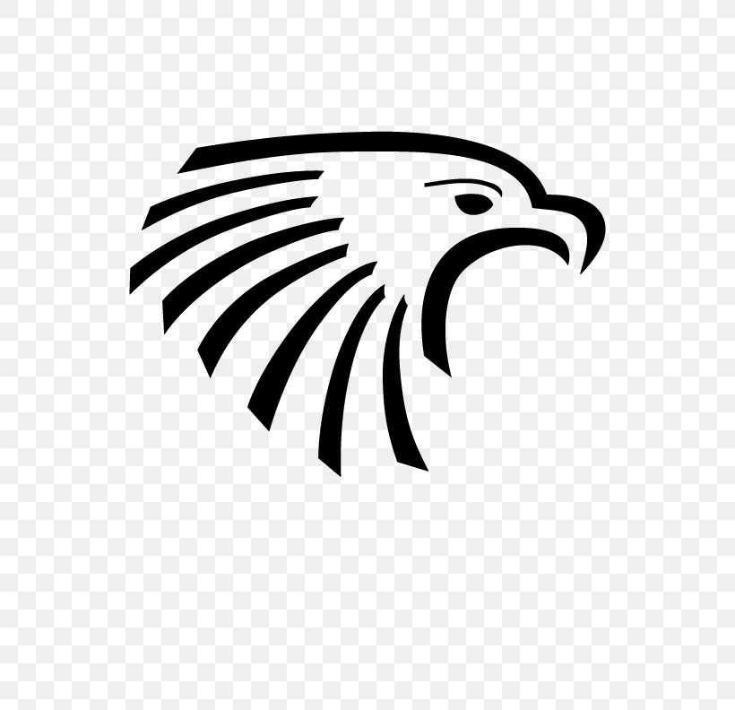 Atlanta Hawks Bald Eagle Sacopee Valley High School Clip Art, PNG, 612x792px, Atlanta Hawks, Bald Eagle, Beak, Bird, Bird Of Prey Download Free