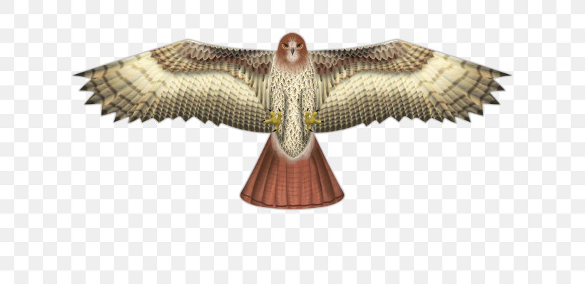 Kite Line Bird Of Prey Hawk, PNG, 728x399px, Kite, Accipitriformes, Animal Figure, Beak, Bird Download Free