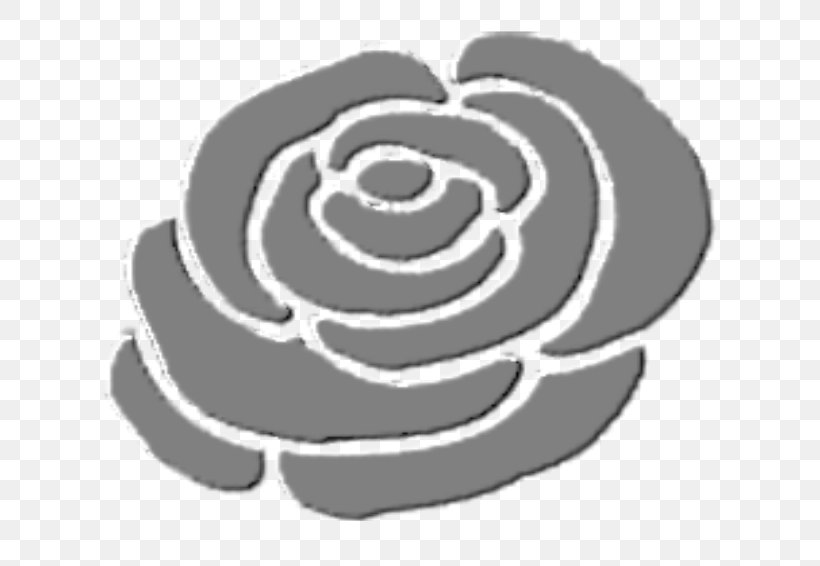 Rose Family Clip Art, PNG, 800x566px, Rose Family, Automotive Tire, Black And White, Flower, Logo Download Free