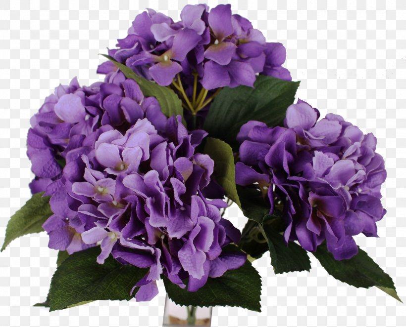 Smooth Hydrangea Shrub Lavender Cut Flowers, PNG, 1347x1088px, Smooth Hydrangea, Annual Plant, Bellflower Family, Blue, Cut Flowers Download Free