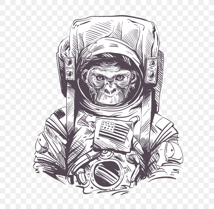 Space Suit Astronaut Monkeys And Apes In Space Drawing, PNG, 800x800px, Space Suit, Art, Astronaut, Black And White, Chimpanzee Download Free