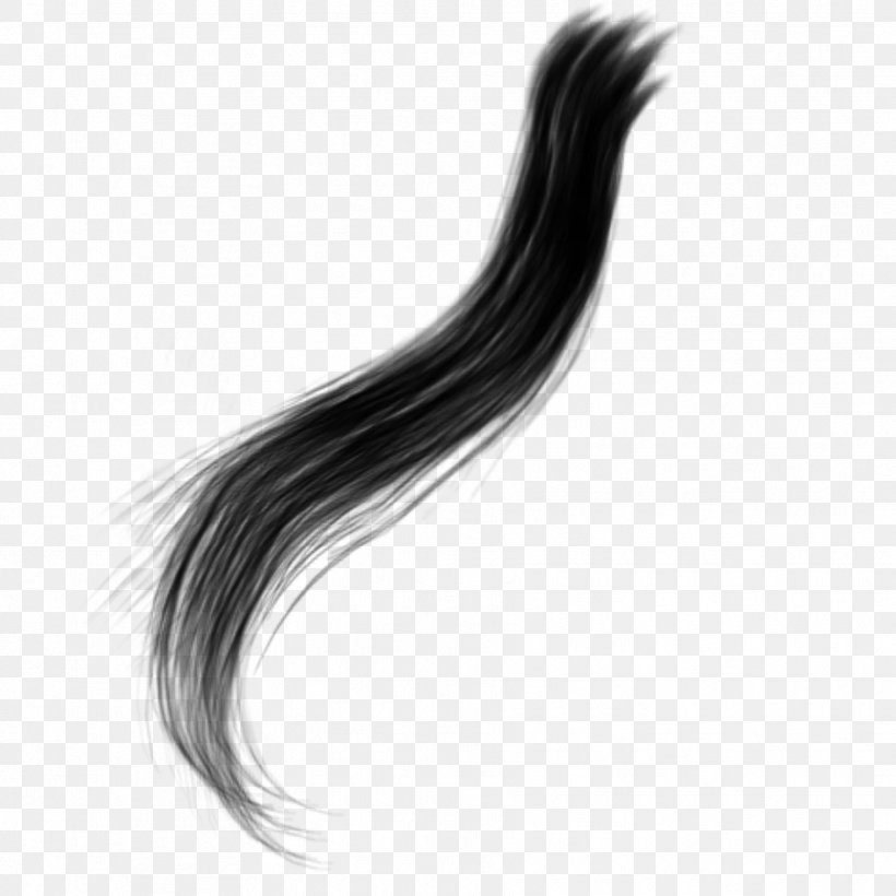 Capelli Long Hair, PNG, 1772x1772px, Capelli, Black, Black And White, Hair, Long Hair Download Free