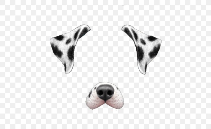 Dalmatian Dog Snapchat, PNG, 500x500px, Dalmatian Dog, Body Jewelry, Carnivoran, Dalmatian, Dog Download Free