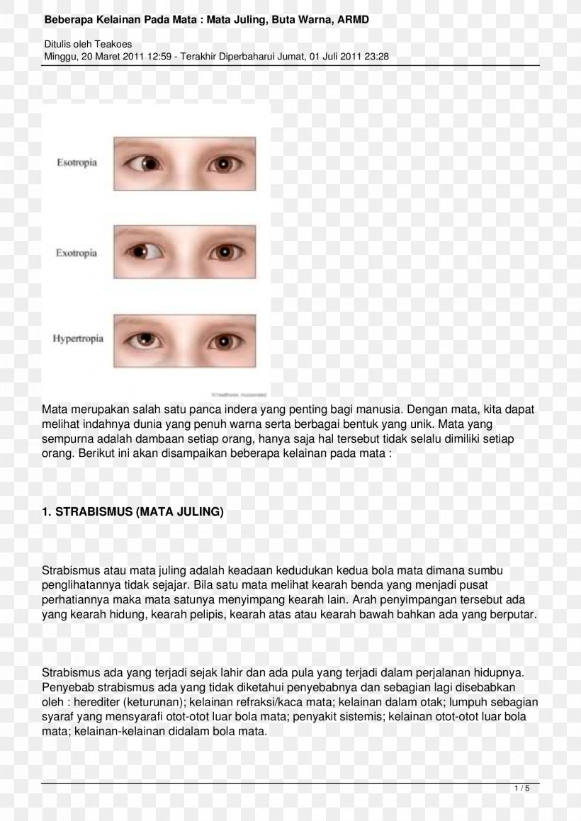 Document Line Strabismus, PNG, 1654x2339px, Document, Area, Paper, Strabismus, Text Download Free