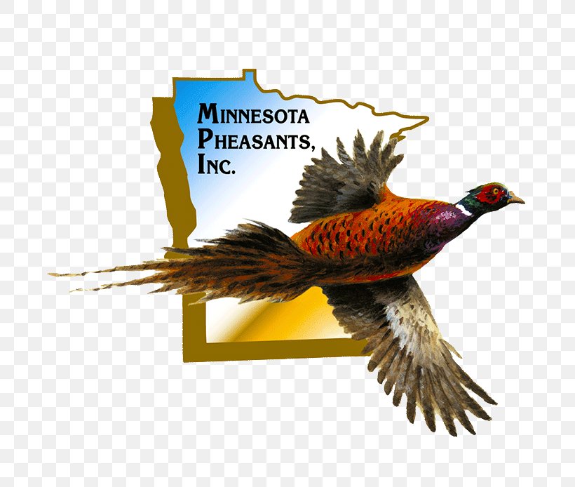 North Mankato Pheasant Mankato Times Mankato Area Foundation Information, PNG, 694x694px, Pheasant, Action Plan, Advertising, Beak, Bird Download Free