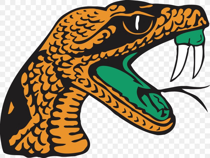 Florida A&M Rattlers Women's Basketball Florida A&M Rattlers Football Florida Classic Teaching Gym NCAA Division I Football Championship, PNG, 1494x1124px, Florida Am Rattlers Football, Amphibian, Artwork, Basketball, College Download Free
