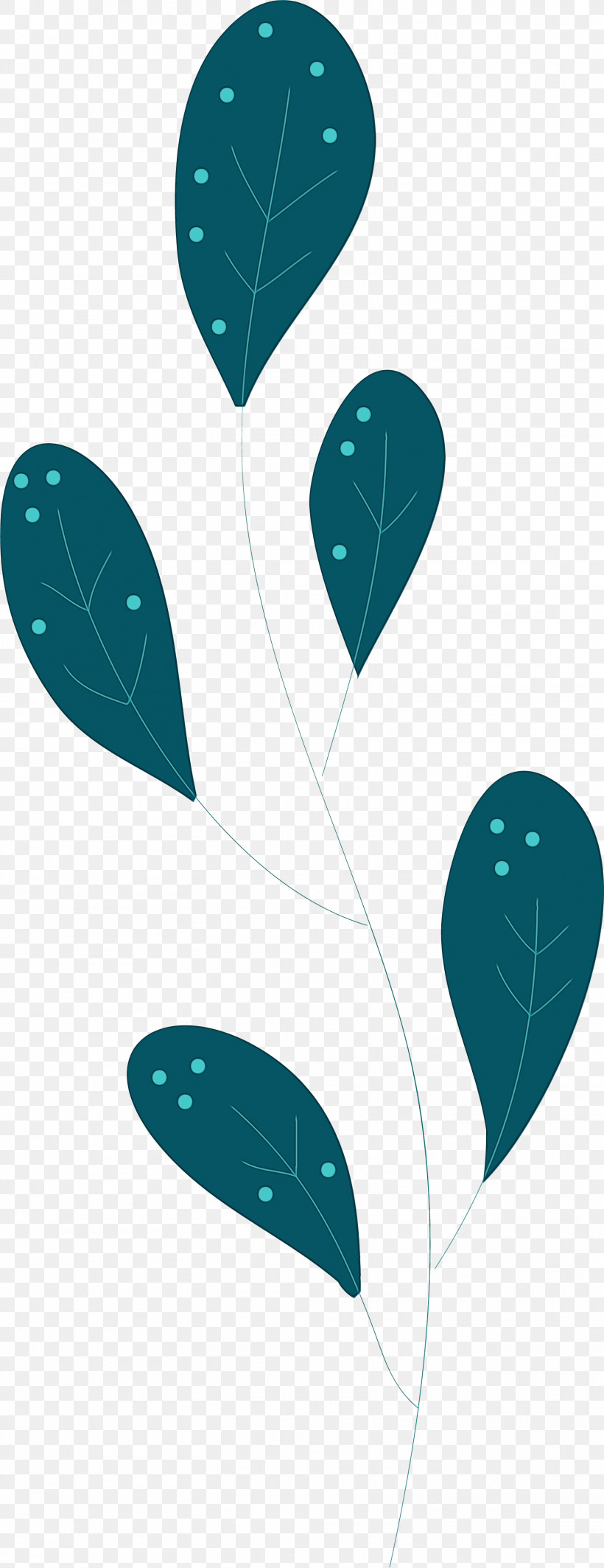 Leaf Turquoise Biology Plant Structure Plants, PNG, 1507x3910px, Leaf, Biology, Paint, Plant Structure, Plants Download Free