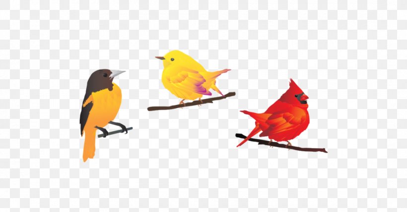 Bird Beak Feather Wing Northern Cardinal, PNG, 1080x565px, Bird, Beak, Fauna, Feather, Northern Cardinal Download Free
