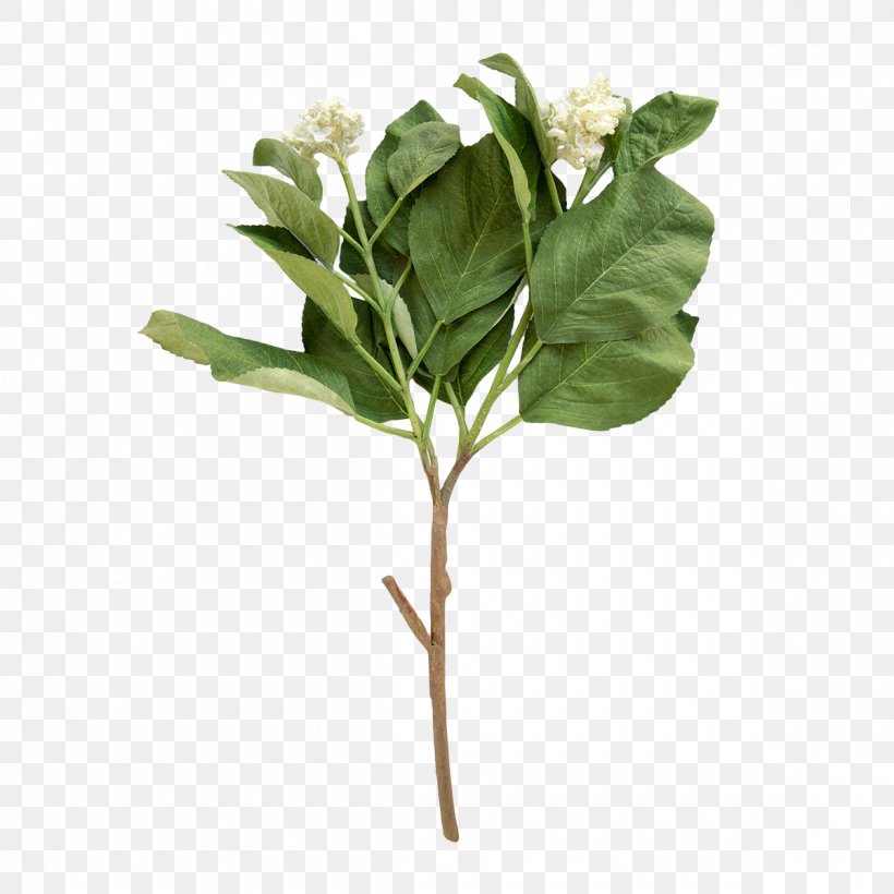 Cut Flowers Plant Stem Hydrangea Leaf, PNG, 1200x1200px, Cut Flowers, Artificial Flower, Blue, Branch, Flower Download Free