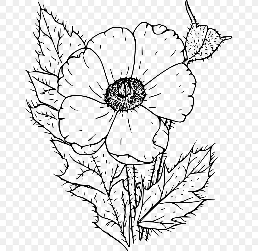 Poppy Coloring Book Drawing Clip Art, PNG, 659x800px, Poppy, Armistice Day, Artwork, Black And White, Clip Art Download Free
