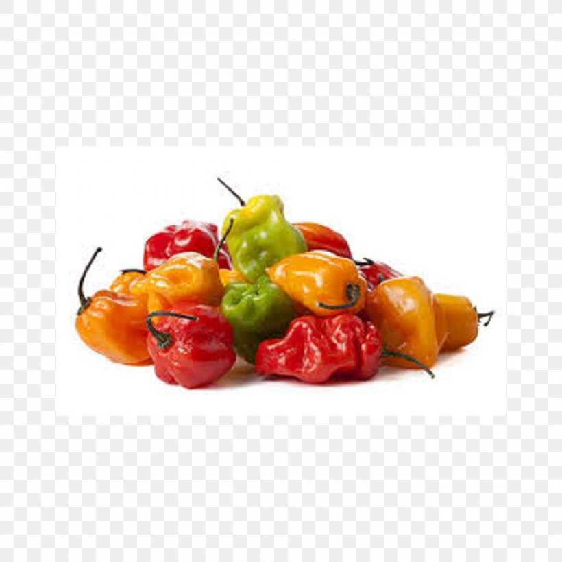 Jamaican Cuisine Caribbean Cuisine Habanero Chili Pepper Scotch Bonnet, PNG, 1000x1000px, Jamaican Cuisine, Bell Pepper, Bell Peppers And Chili Peppers, Brochette, Capsicum Download Free