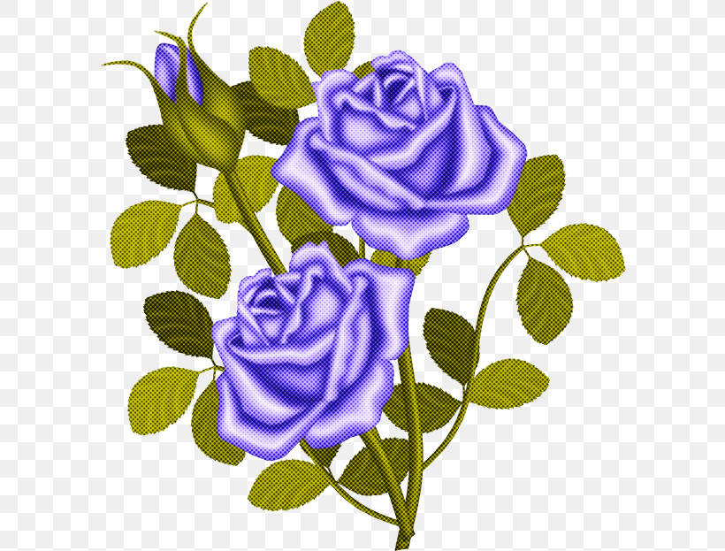 Blue Rose, PNG, 596x623px, Flower, Blue Rose, Camellia, Floribunda, Garden Roses Download Free