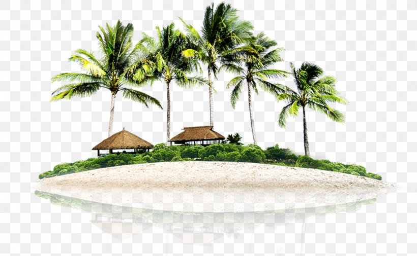 Coconut Tree Cartoon, PNG, 1501x925px, Resort Island, Arecales, Attalea Speciosa, Beach, Coconut Download Free
