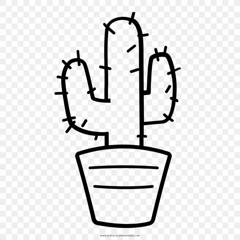 Coloring Book Cactaceae Drawing Doodle, PNG, 1000x1000px, Coloring Book, Area, Ausmalbild, Black And White, Cactaceae Download Free